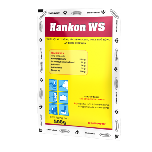 HANKON WS